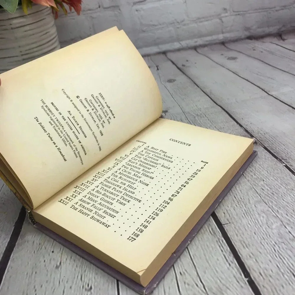vintage The bobbsey twins on a houseboat book 1955